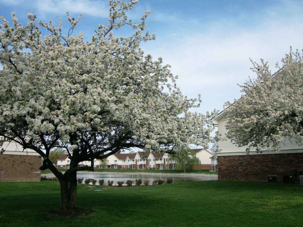Apartments on 30th and Mitthoeffer Waterstone Place Apartments